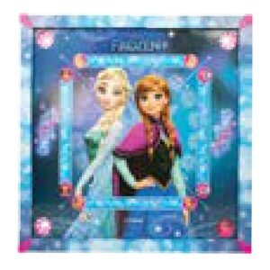 Toy Carrom 26x26 Frozen