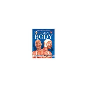 Human Body
