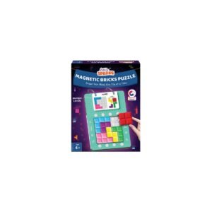 Magnetic Bricks Puzzle